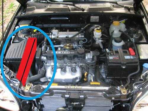 Chevrolet lanos рампа и форсунки шевроле ланос снятие замена ремонт купить цена